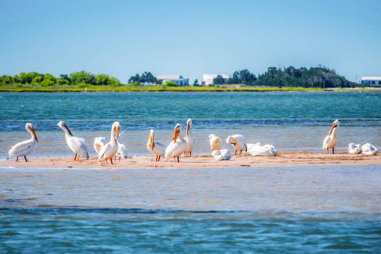 Padre Island National Seashore
