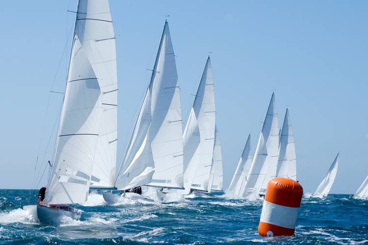 Harvest Moon Regatta