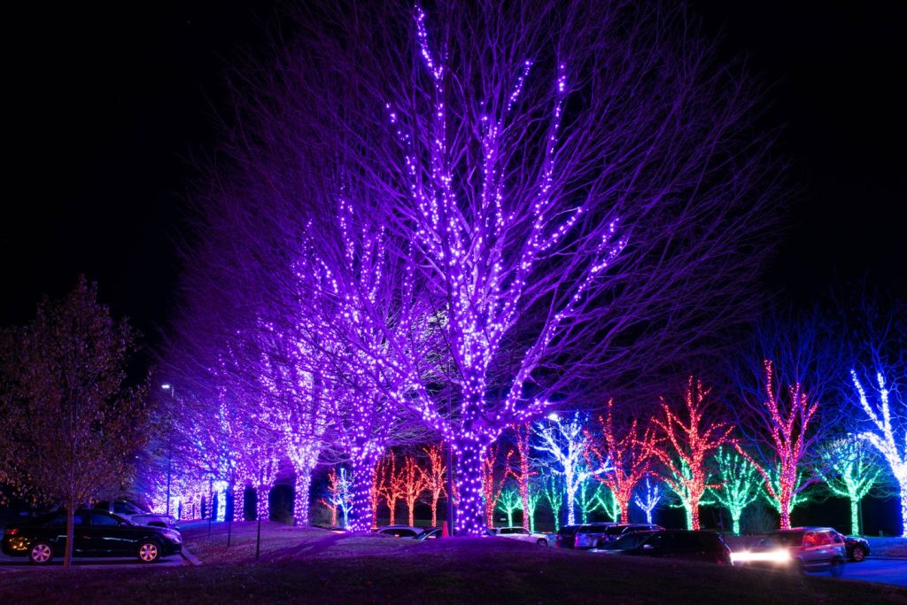 Winterlights in downtown Asheville