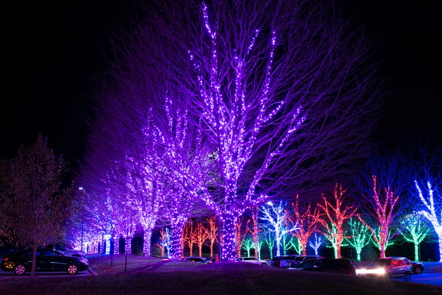 Wintertime in Asheville