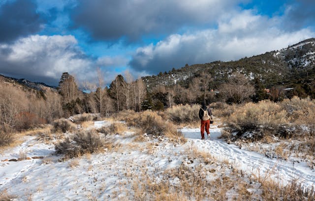 Glimmering Glade Trails
