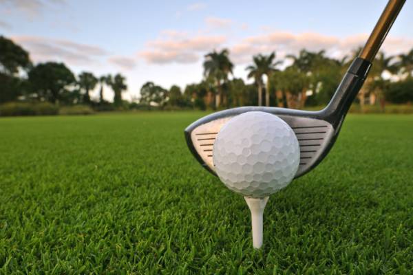 golf ball with driver behind it and palm trees in the background