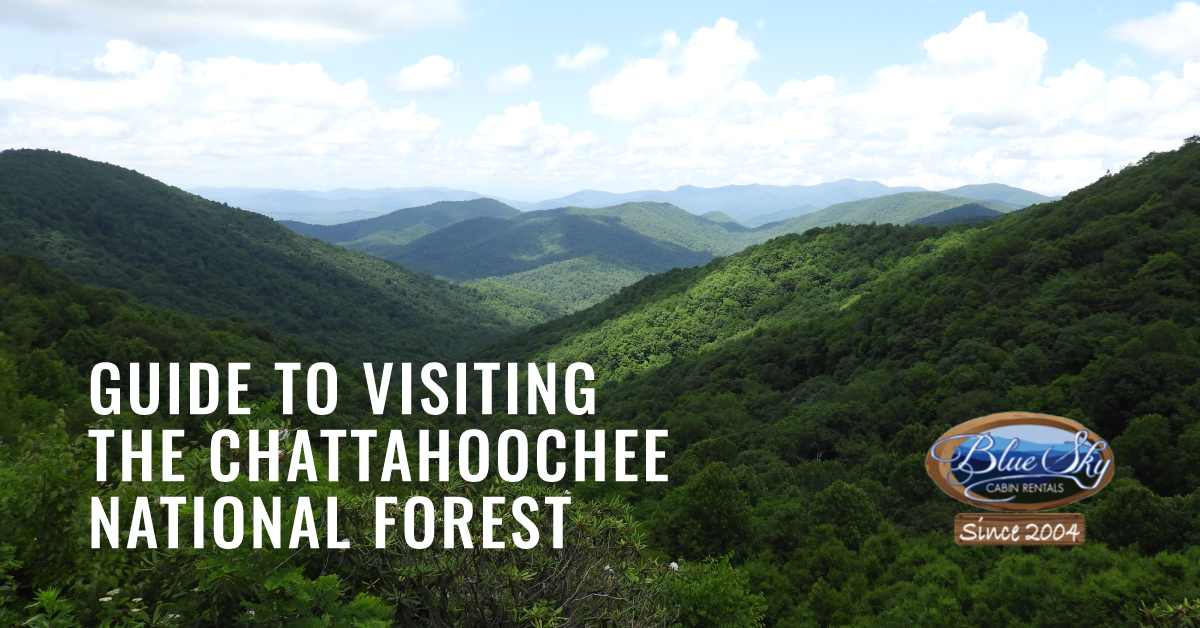 Guide To Visiting The Chattahoochee National Forest