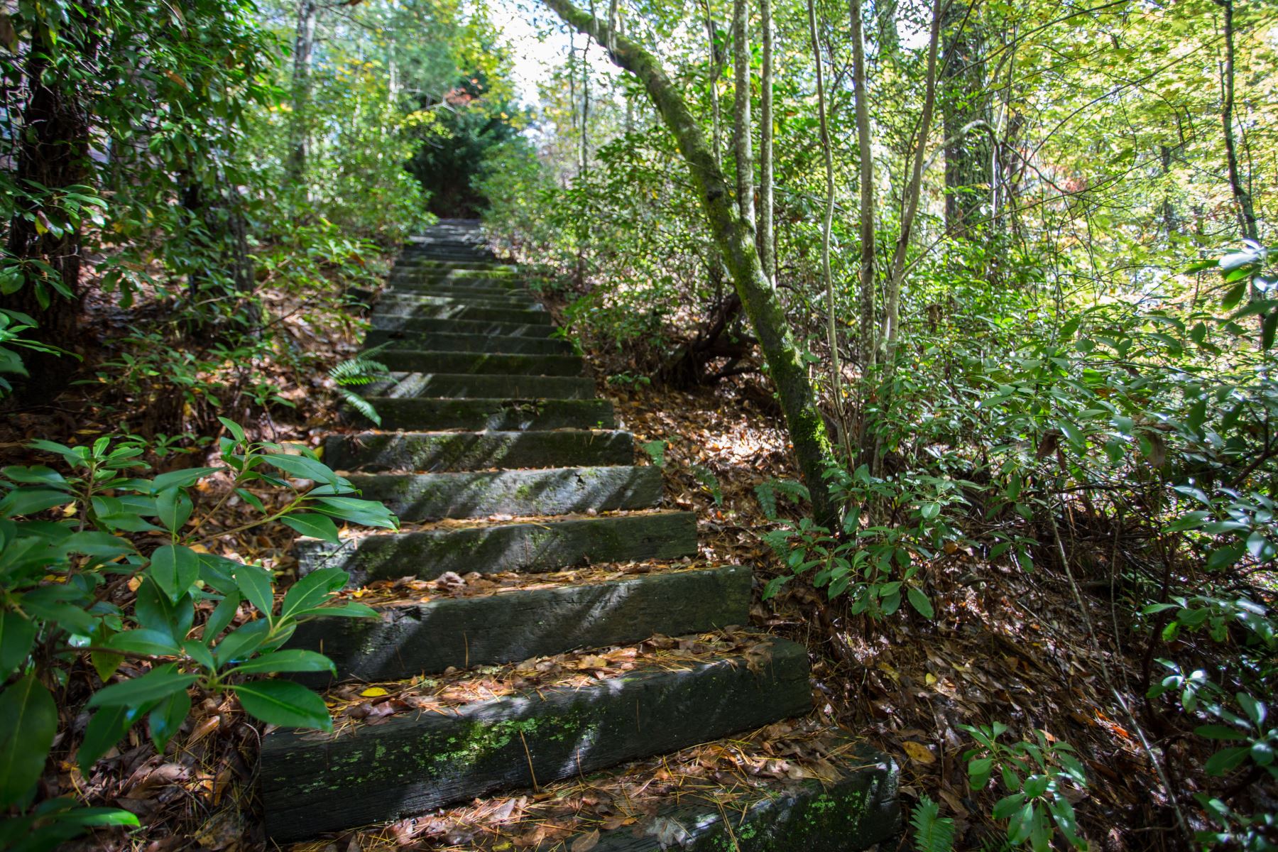 Hiking Trails
