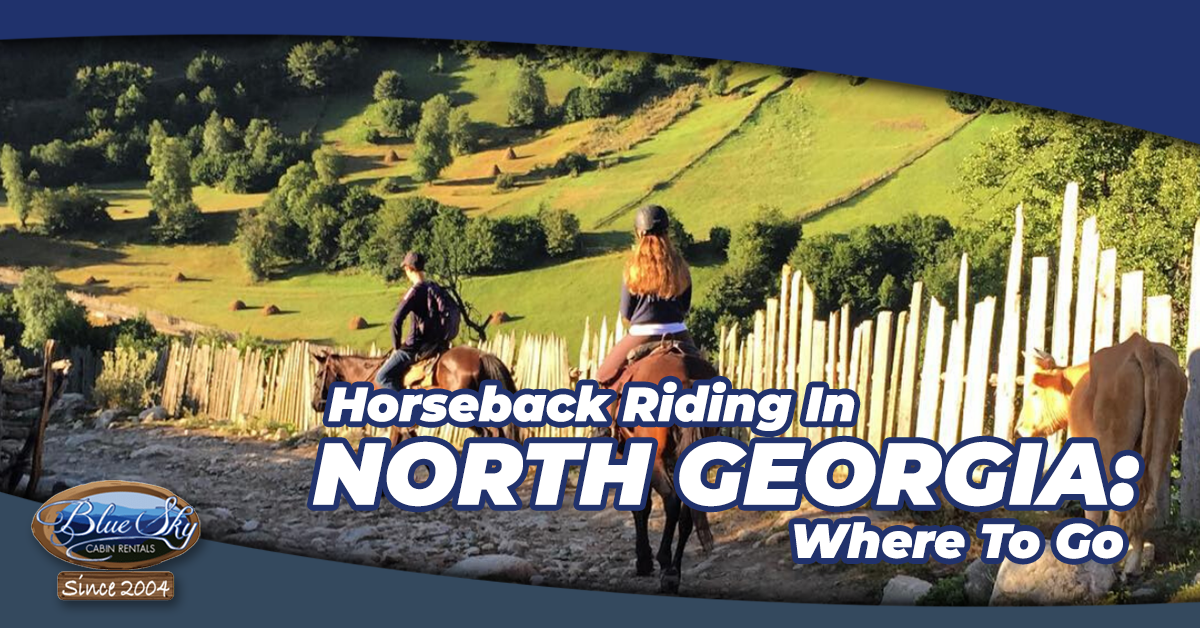 Where To Go Horseback Riding In North Georgia