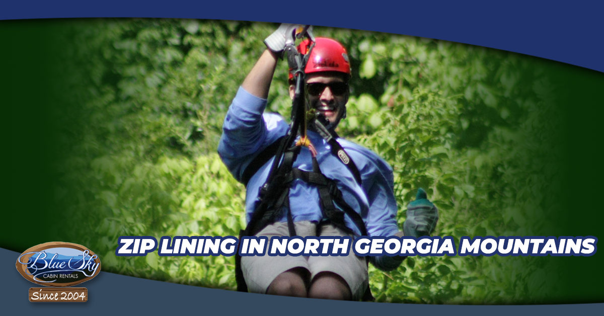 Zip Lining In North Georgia Mountains: Adventure From Above