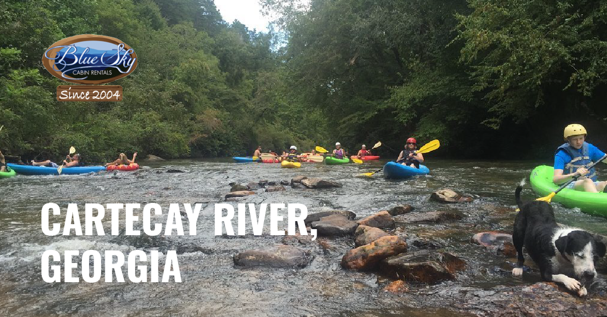 Guide To The Cartecay River In Ellijay