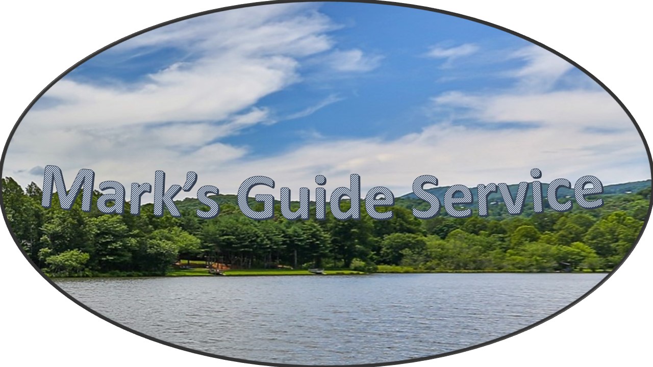 Fishing Guide Service at Carters Lake