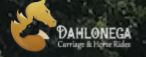 Dahlonega Carriage & Horse Rides