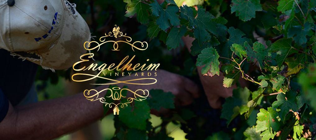 ENGELHEIM VINEYARDS