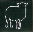 The Black Sheep