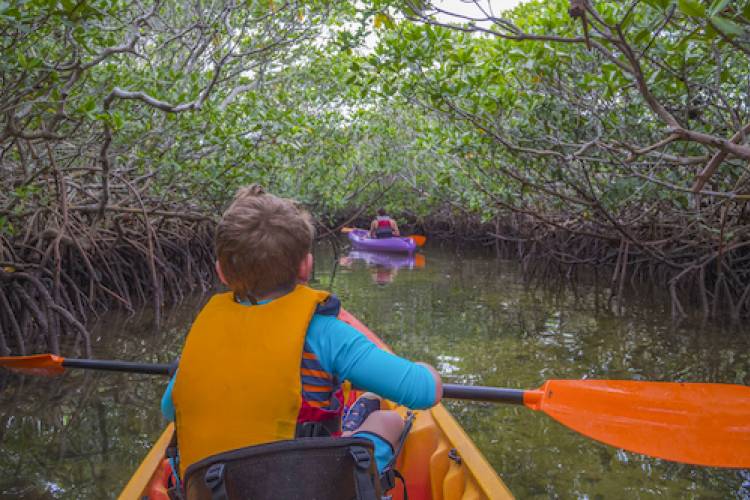 The Best Things to Do on the Water Around the Florida Keys