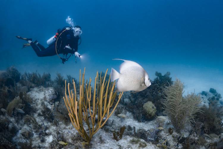 The Best Things to Do on the Water Around the Florida Keys