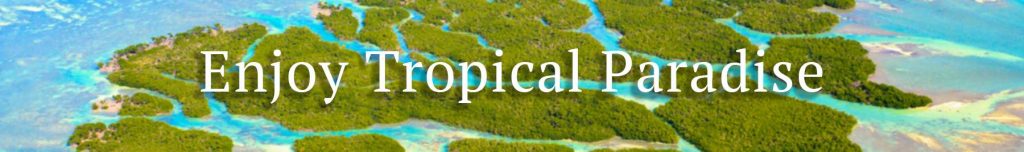 Enjoy Tropical Paradise in Florida Keys