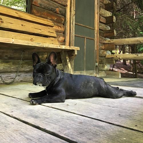 Cabin Rentals of Helen - North Georgia's Premier Vacation Rental Source