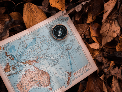 Interactive Map