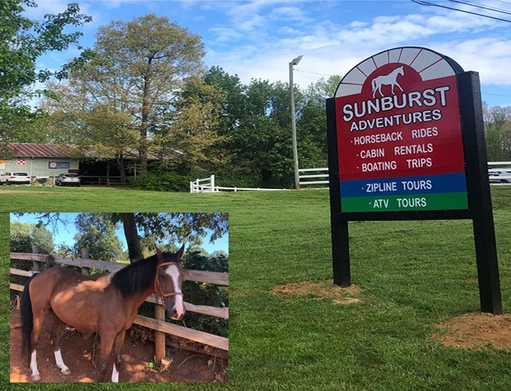 Sunburst Stables
