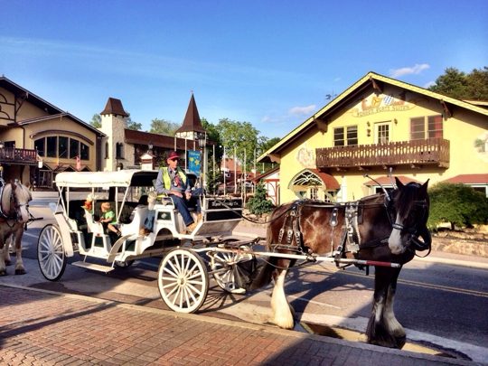 Alpine Carriage Company