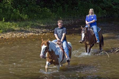 Chattahoochee Stables