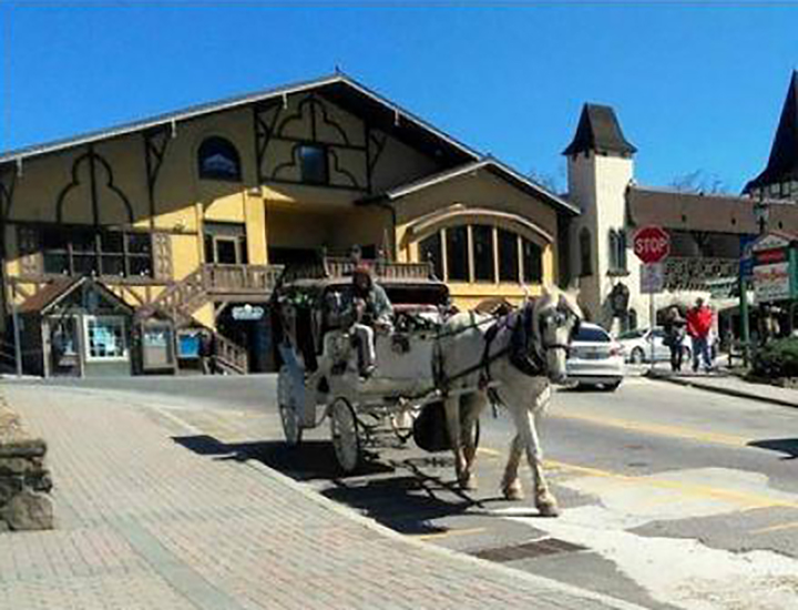 Horne's Buggy Rides