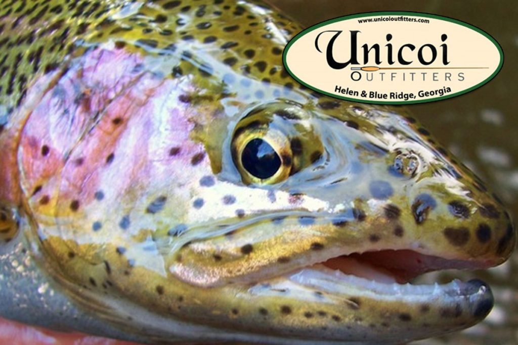 Unicoi Outfitters
