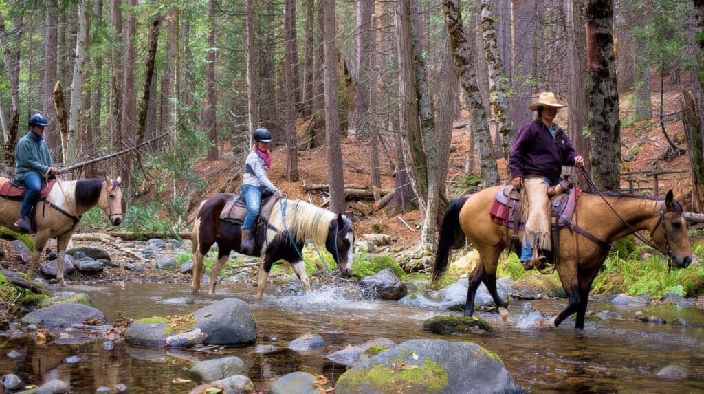 Outdoor & Unique Activities