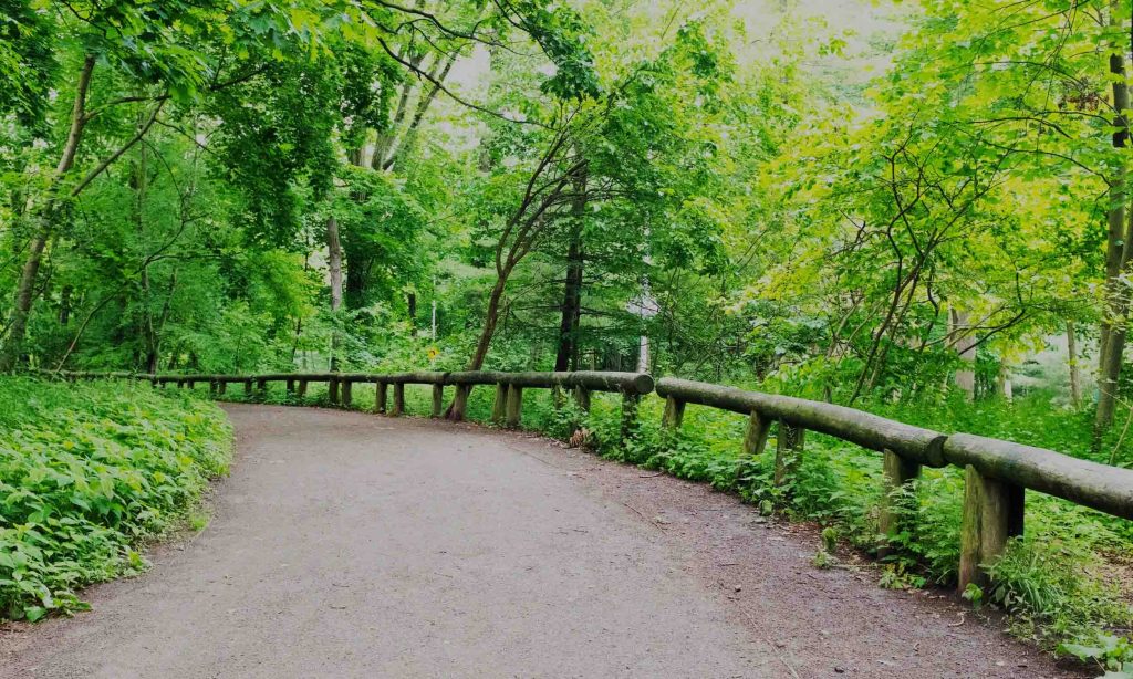 Parks, Forest & Recreational Areas