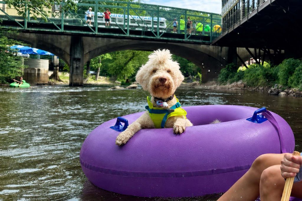 Tubing & Water Activities & White-Water Rafting
