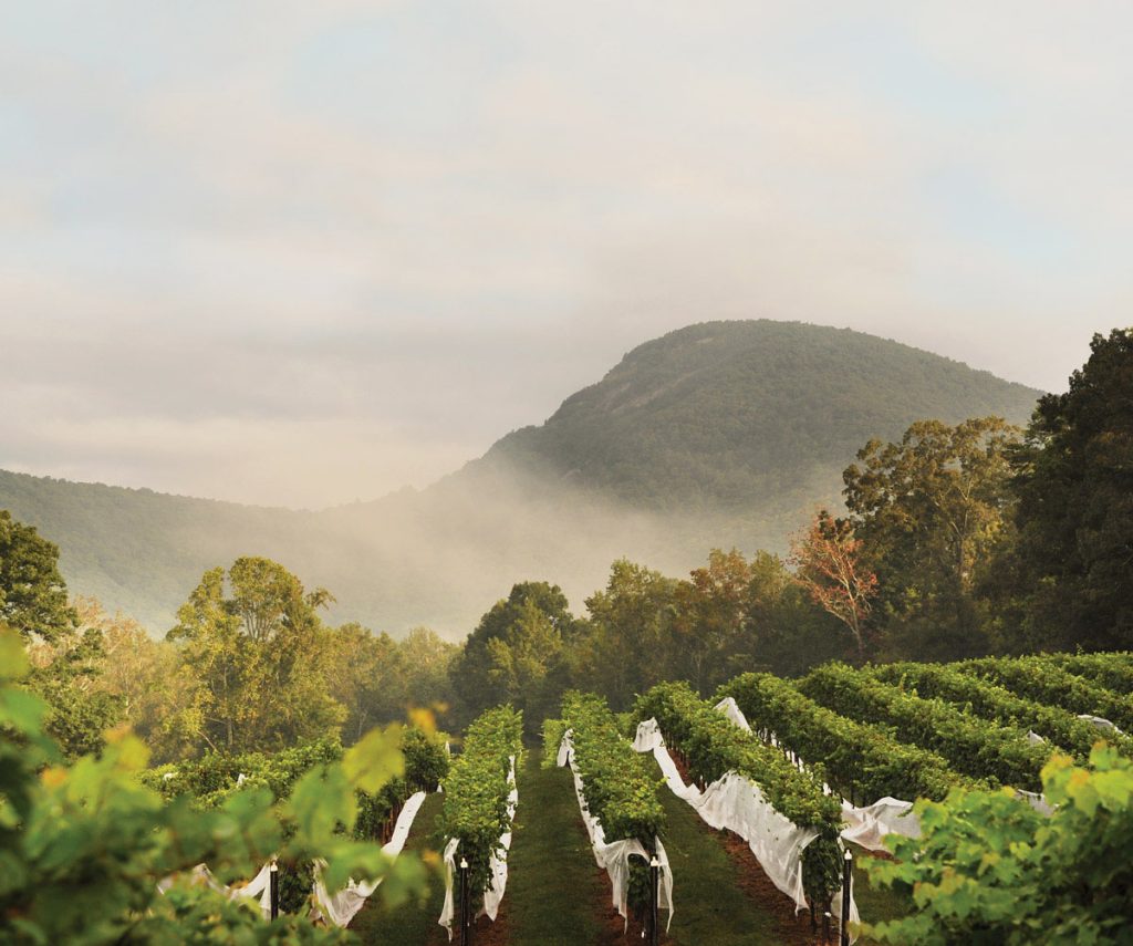 Wineries & Vineyards