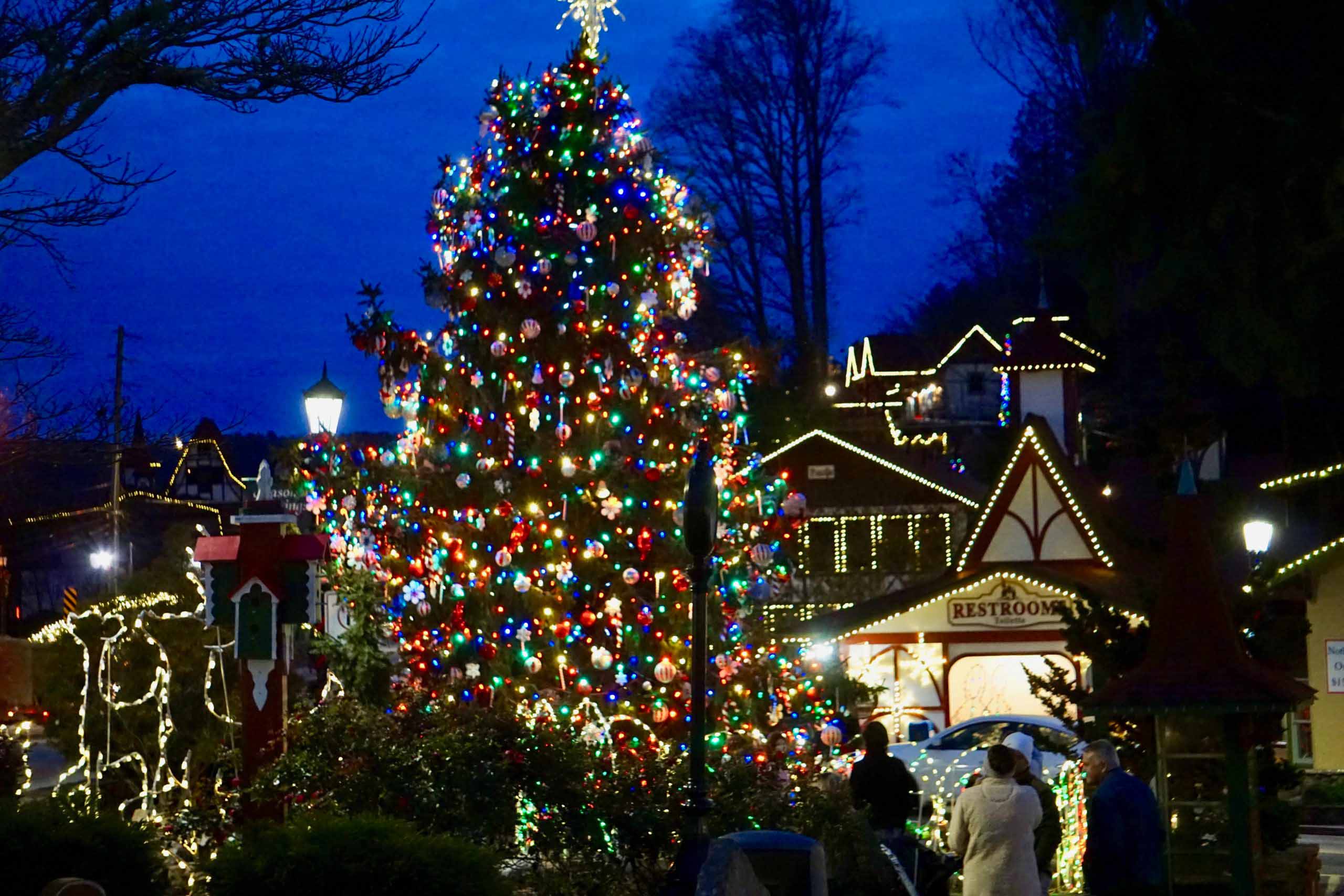 Annual Lighting of the Village - November