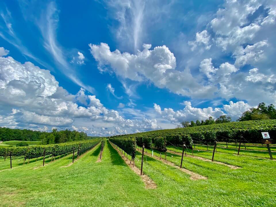Wine Highway Weekend