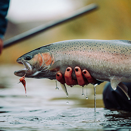 Trout Load-in Day