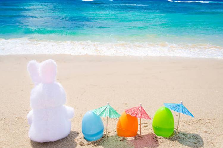 Hopping Spring Easter Events And Brunch 30A
