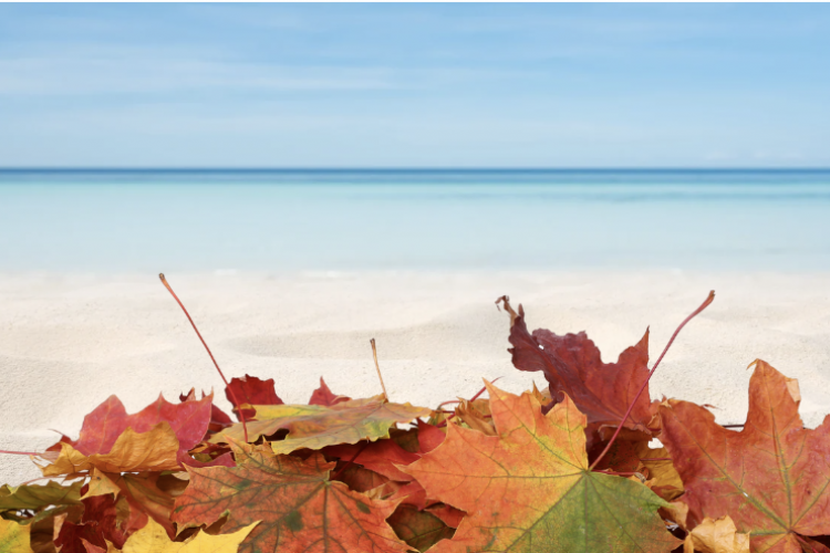 Where Stay 30A Fall Break Top Vacation Rentals And Beach Communities