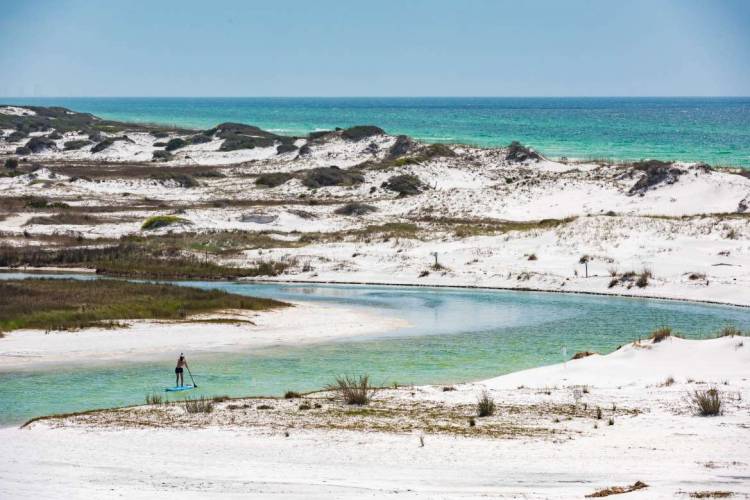 Getting Back Nature 30A State Parks