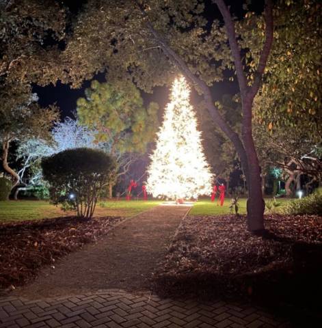 Watercolor Cerulean Park Christmas Tree
