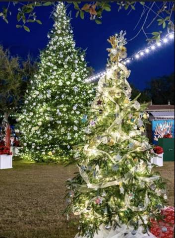 Grand Boulevard Festival of Trees