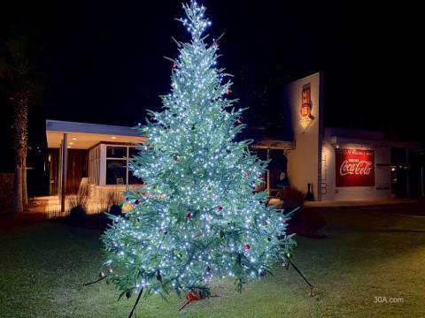 Christmas Tree at The Big Chill