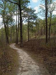 Weymouth Woods - Sandhills Nature Preserve