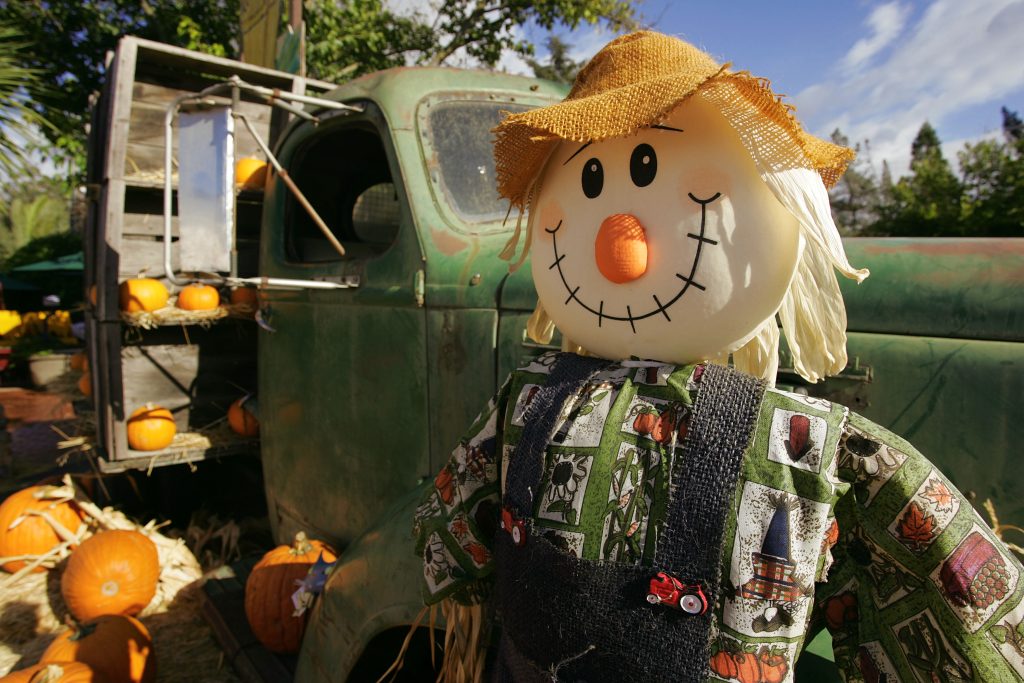 Scarecrow in front of old farm truck.