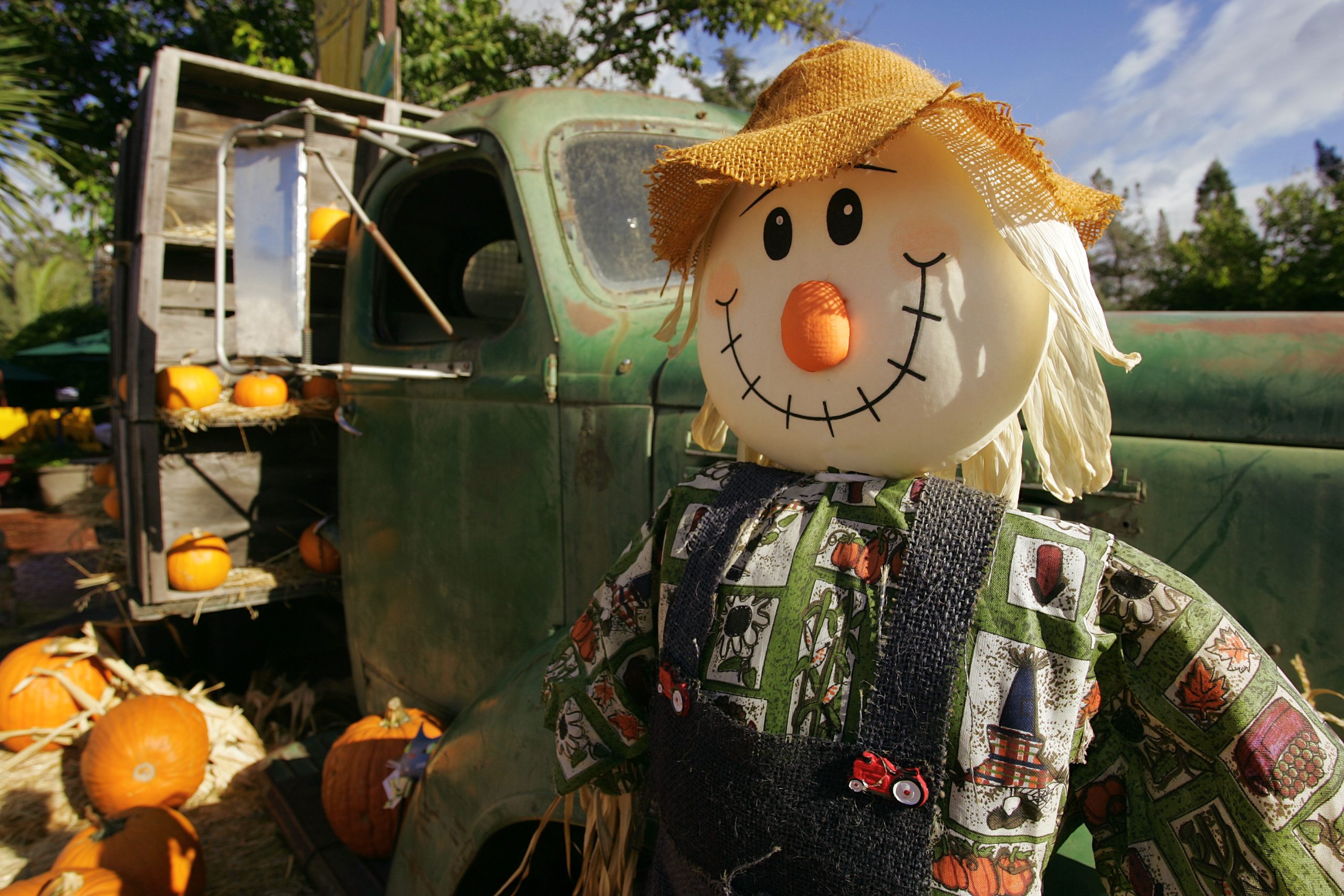 Don’t Miss These Exciting Events and Fall Festivals in St. Augustine, FL