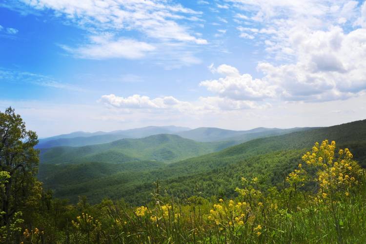 crozet virgina