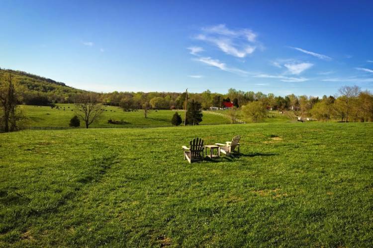 Spring and the Charlottesville Viognier Wine