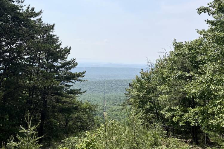 mountain in Charlottesville