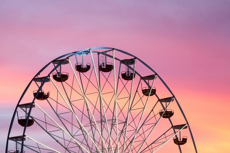 Albemarle County Fair