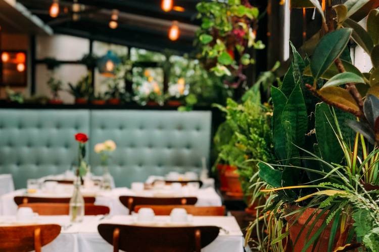 C-VILLE Restaurant Week