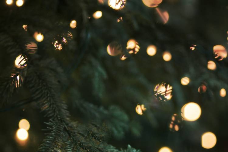 Grand Illumination