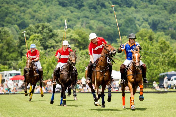 Roseland Polo at King Family Vineyards
