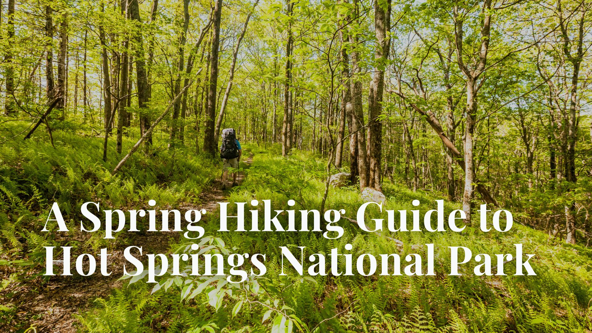 A Spring Hiking Guide to Hot Springs National Park: Trails, Tips, and Scenic Views