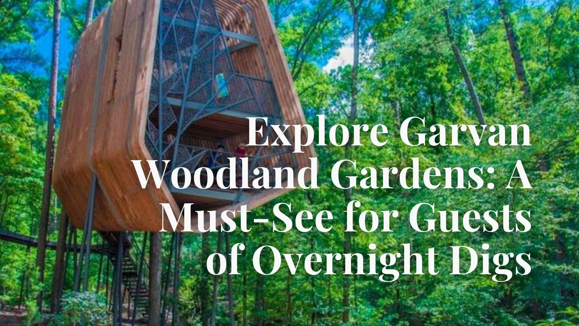 Explore Garvan Woodland Gardens: A Must-See for Guests of Overnight Digs